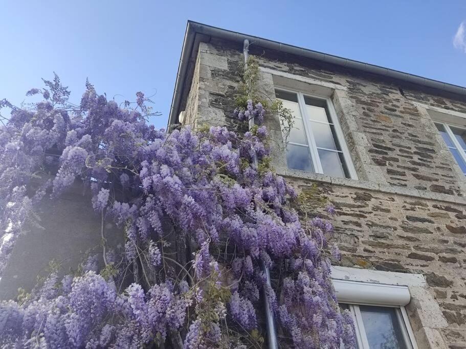 Appartement Le Vulcain à Le Hommet-d'Arthenay Extérieur photo