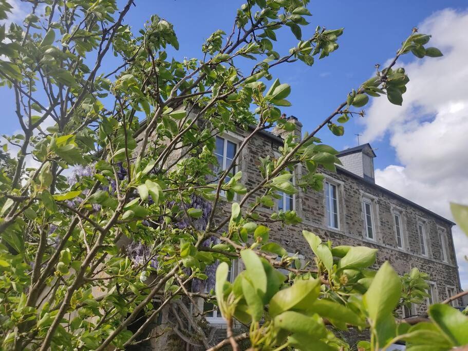 Appartement Le Vulcain à Le Hommet-d'Arthenay Extérieur photo